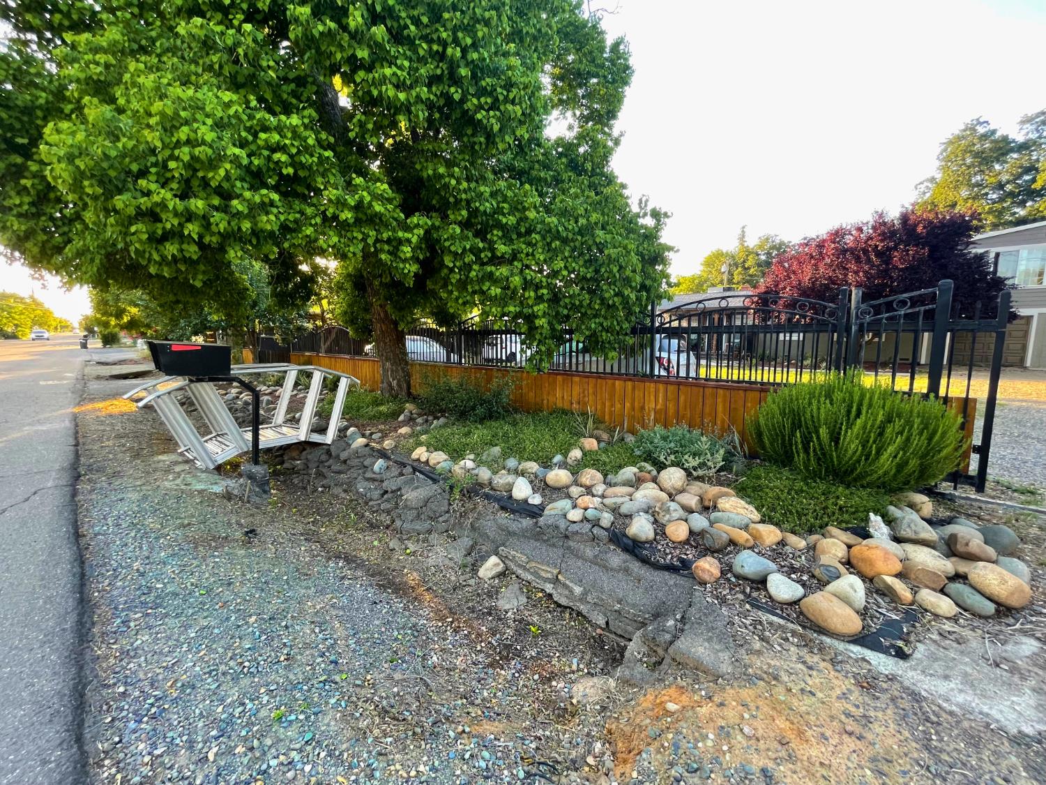 5121 Kenneth Avenue Carmichael, CA 95608 - Photo 33 of 38 a view of a yard with plants and large trees