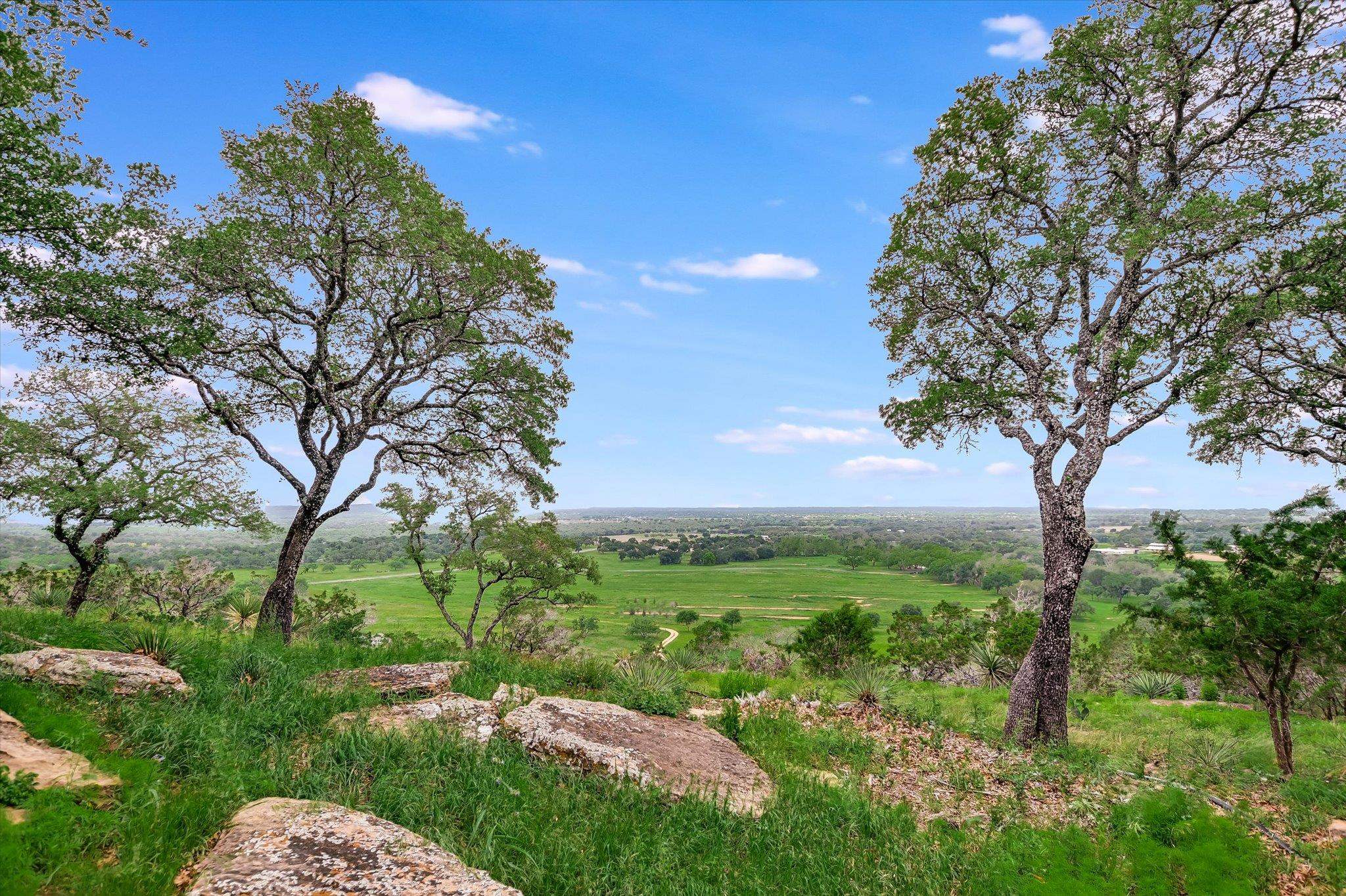 170 Sandstone Ridge Drive Marble Falls, TX 78654 - Photo 30 of 38 a view of a garden