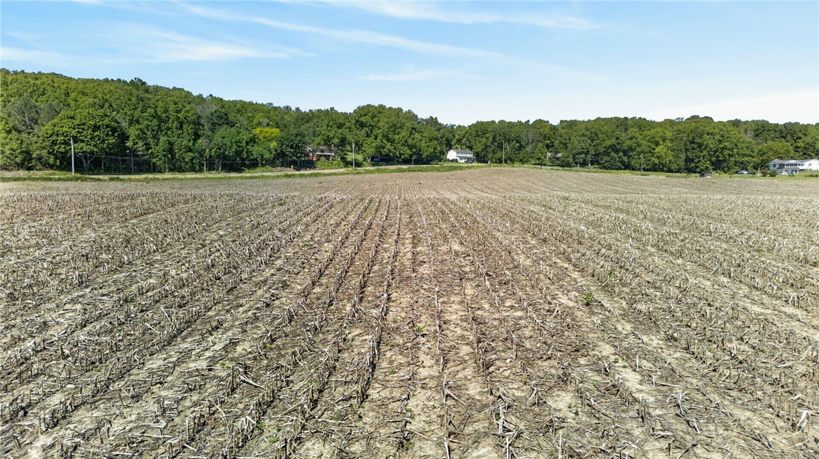 Cramer Road Canandaigua, NY 14424 - Photo 16 of 47