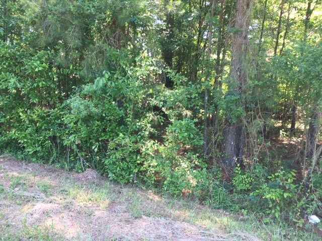 0 Utica Institute Road, Unit 1 Utica, MS 39175 - Photo 1 of 1 Photo 1