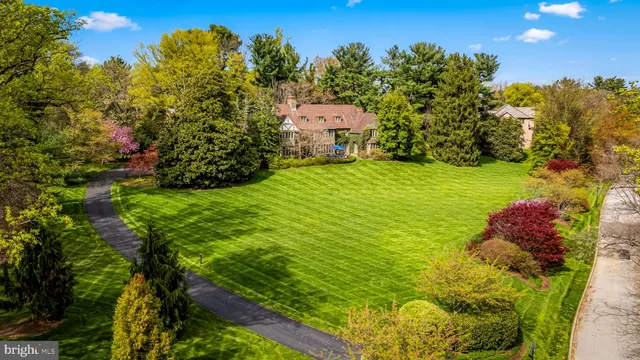 a picture of flowers