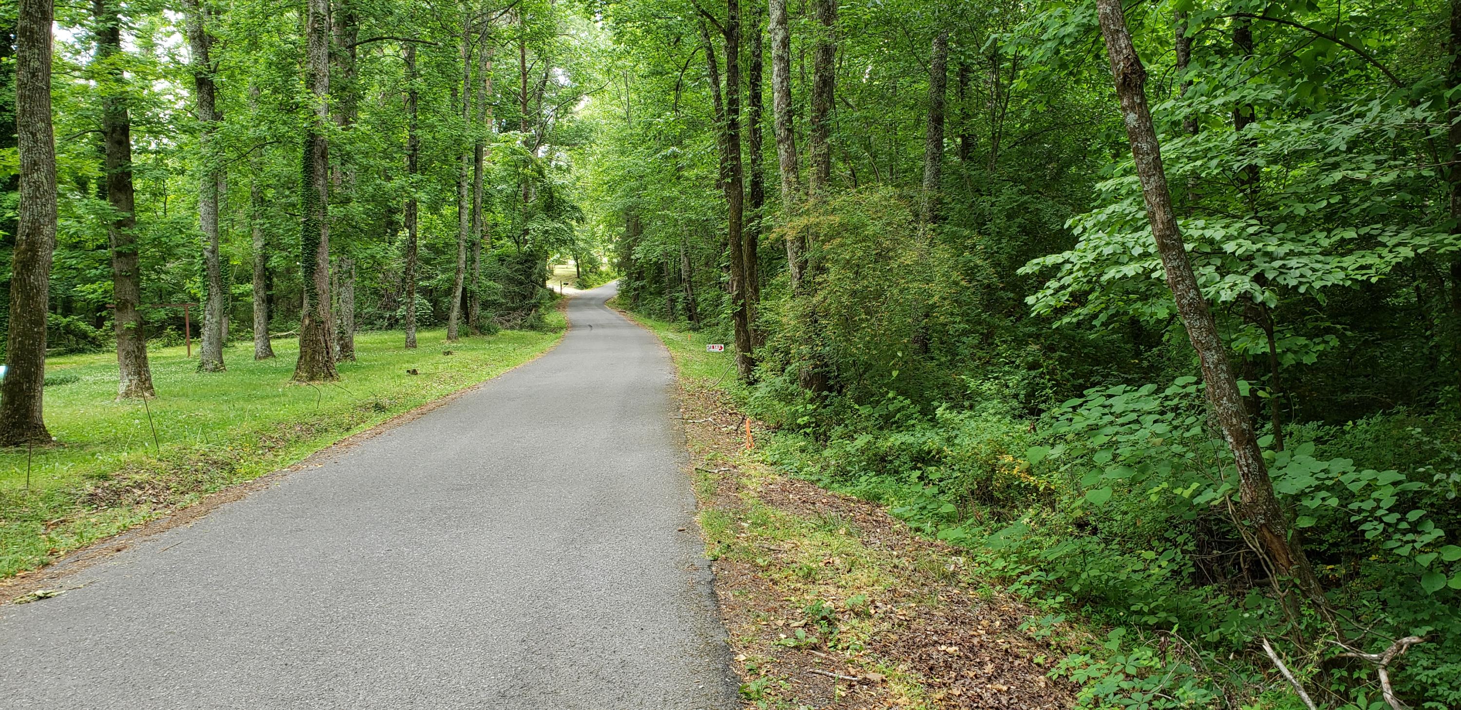 0 Brown Road, Unit 6 Jasper, TN 37347 - Photo 4 of 5 20210527_122341
