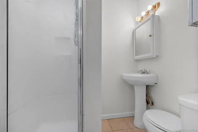 a view of a yard with plants and large trees