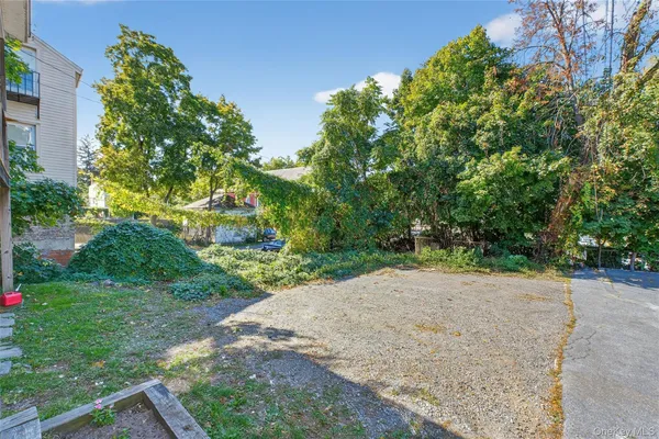 a view of a yard with plants and trees