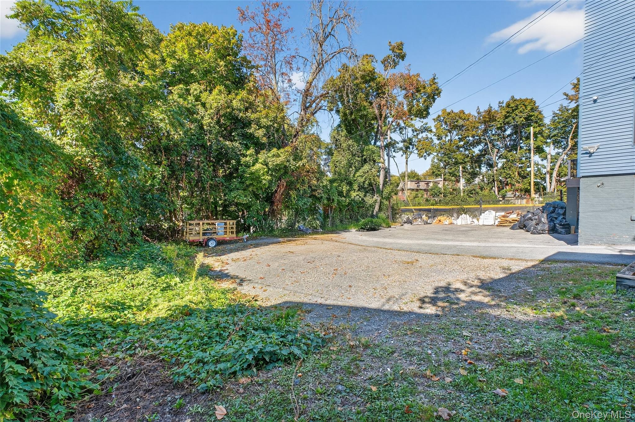 49 South Hamilton Street, Unit 2 Poughkeepsie, NY 12601 - Photo 23 of 27 a view of a yard with plants and trees