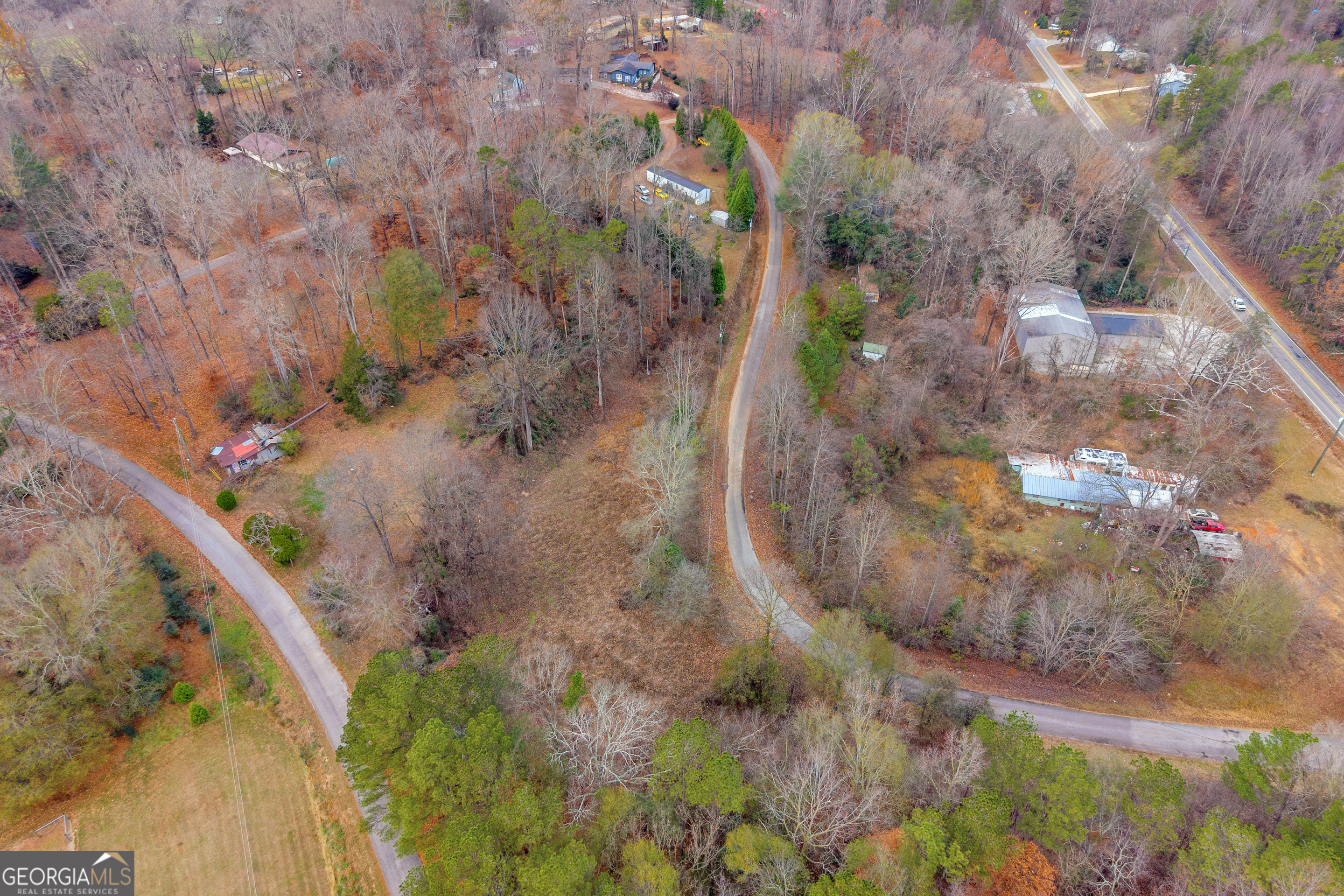 510 Gumlog Grove Road Lavonia, GA 30553 - Photo 15 of 22 a view of a plant in a garden