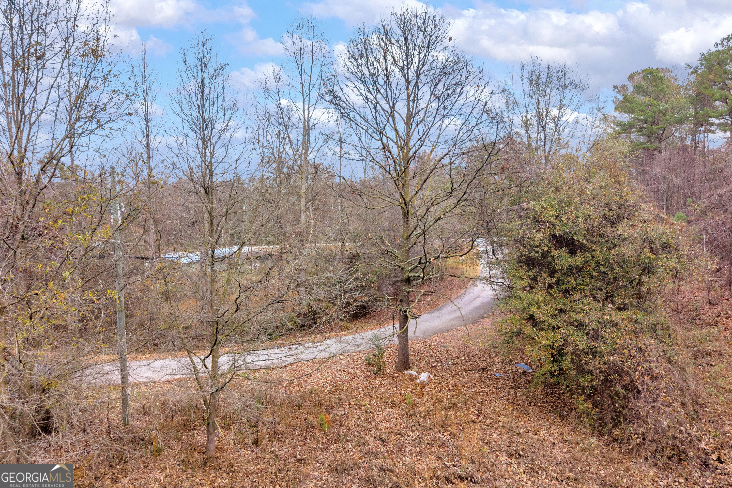 510 Gumlog Grove Road Lavonia, GA 30553 - Photo 17 of 22 a view of a forest with trees