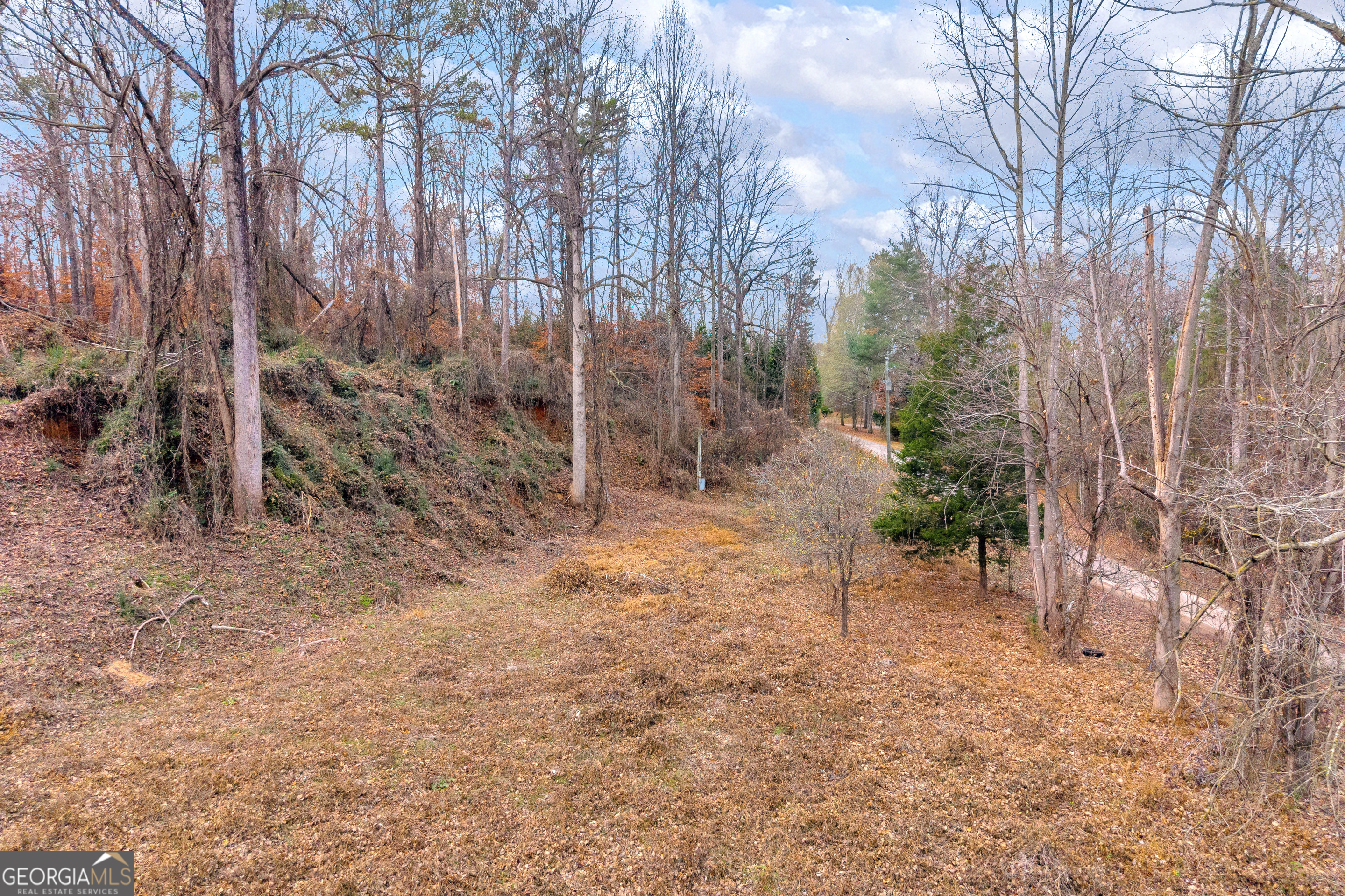 510 Gumlog Grove Road Lavonia, GA 30553 - Photo 18 of 22 a view of backyard with green space