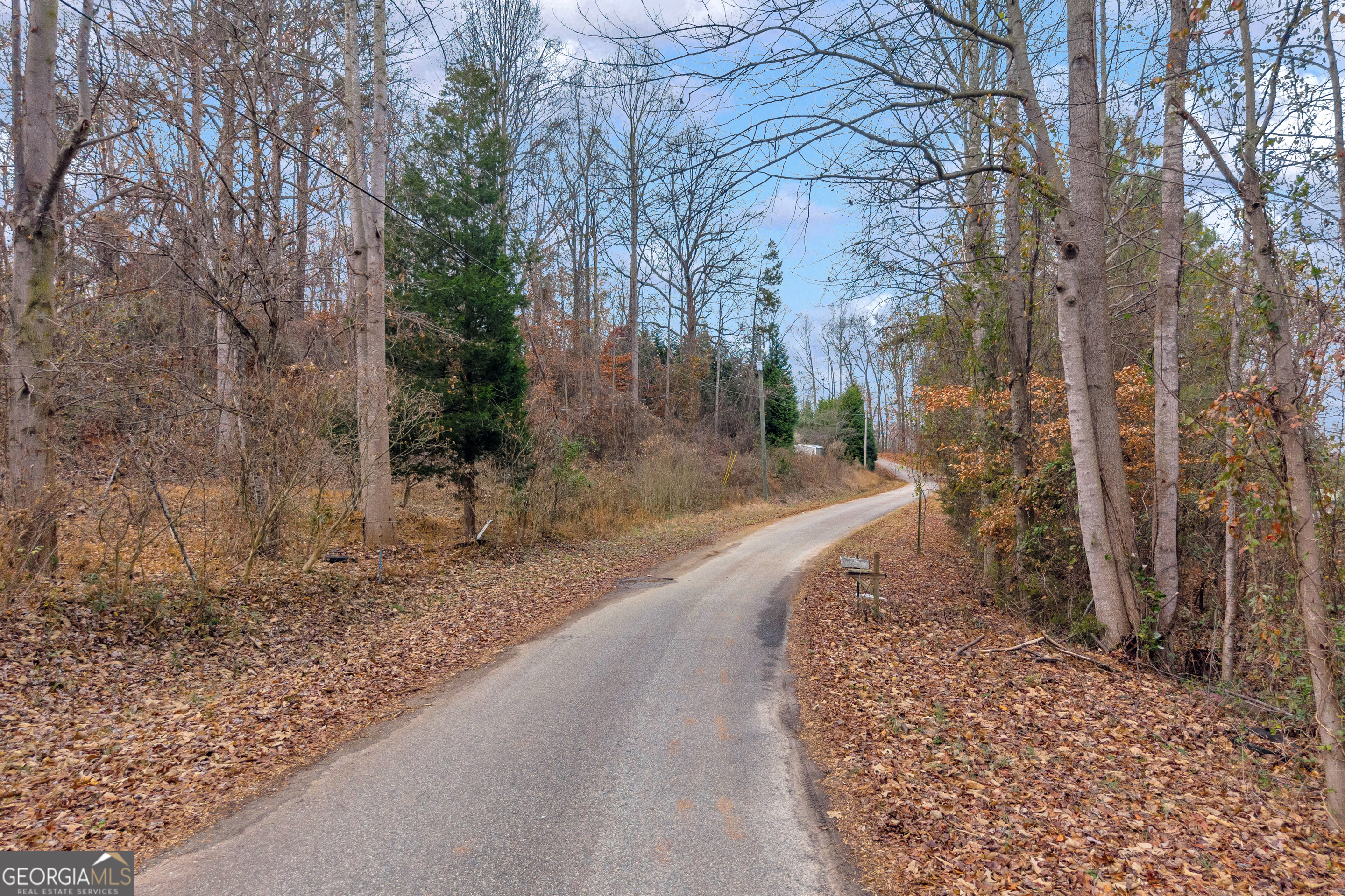 510 Gumlog Grove Road Lavonia, GA 30553 - Photo 2 of 22 a view of a yard with trees