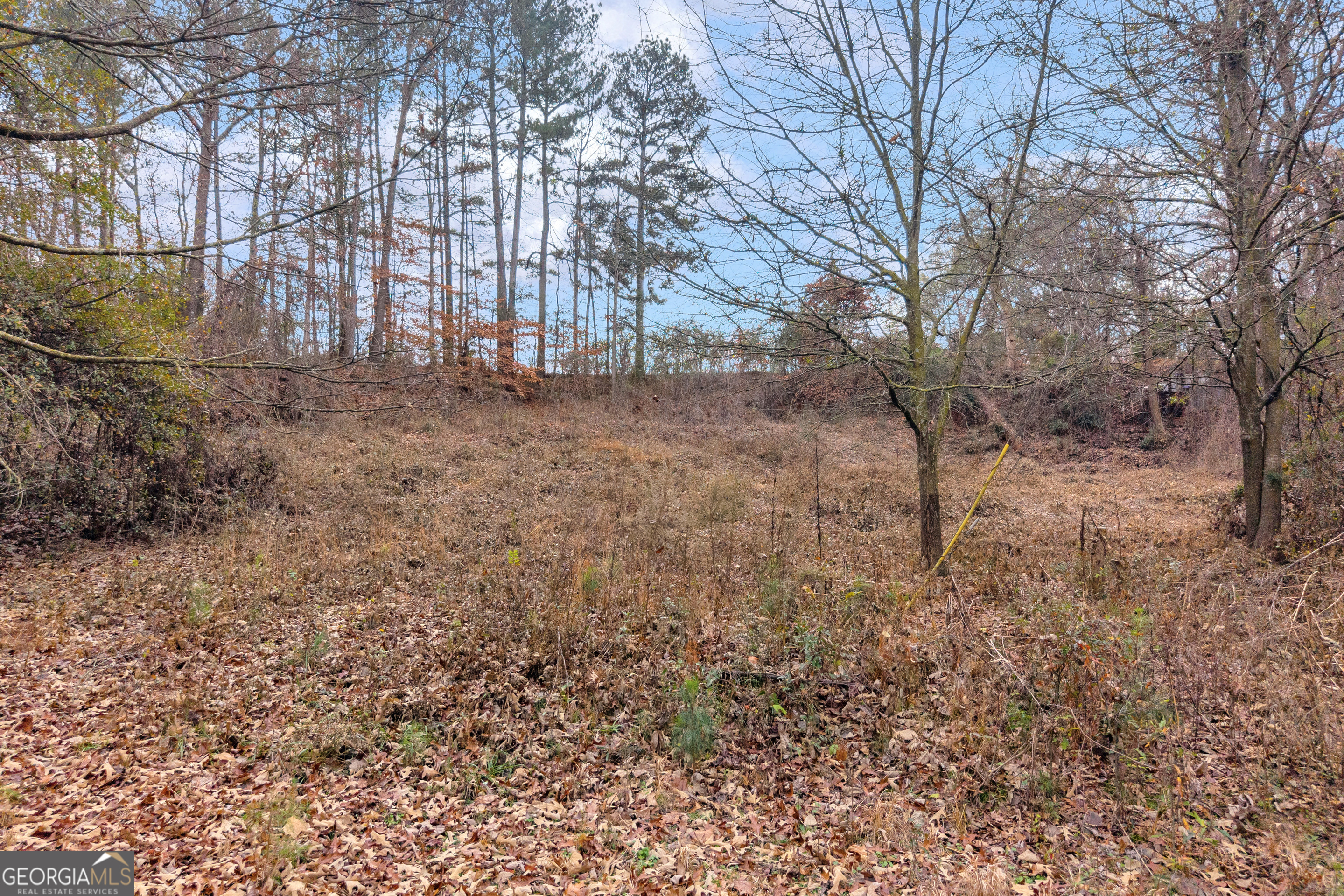510 Gumlog Grove Road Lavonia, GA 30553 - Photo 21 of 22 a backyard of a house with lots of green space