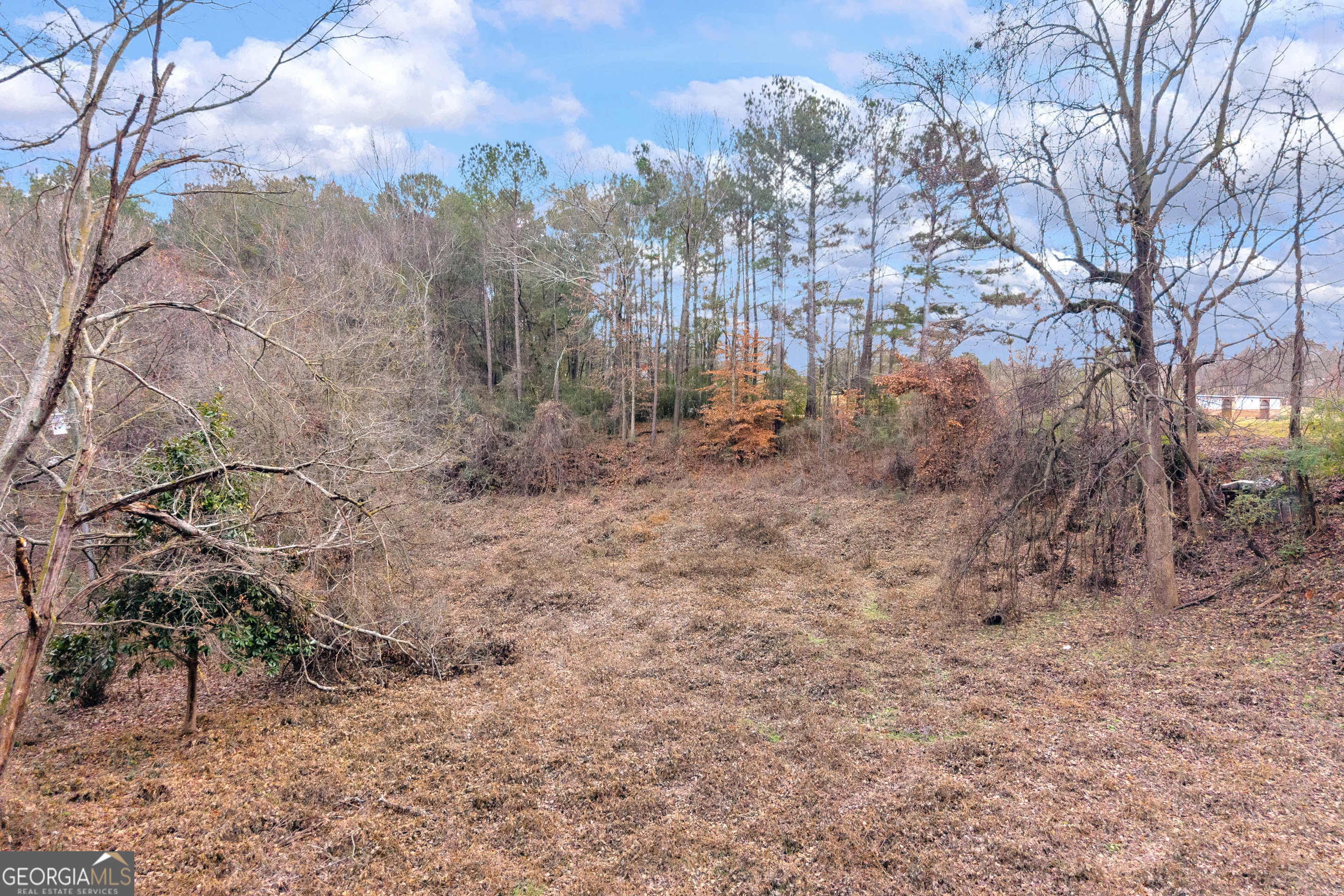510 Gumlog Grove Road Lavonia, GA 30553 - Photo 4 of 22 a view of a dry yard with trees