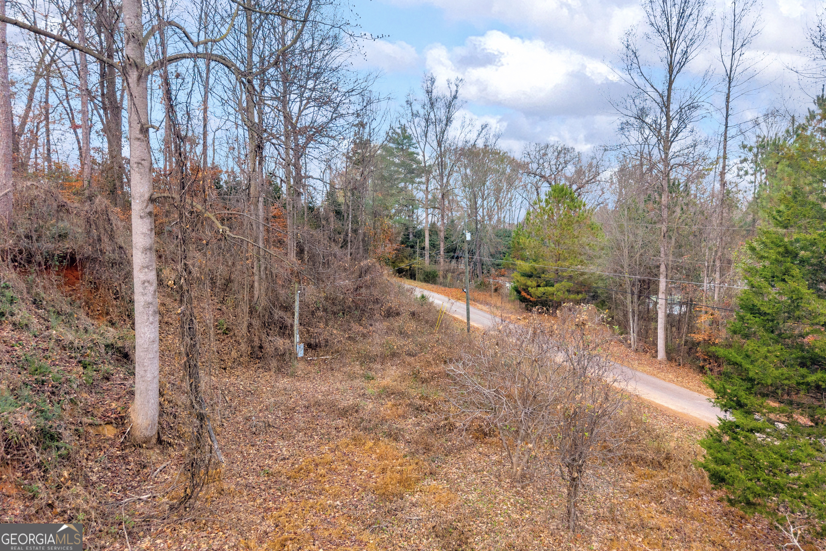 510 Gumlog Grove Road Lavonia, GA 30553 - Photo 5 of 22 a view of a forest with trees