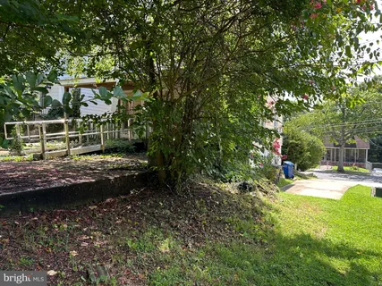 a view of yard with swimming pool and trees in the background