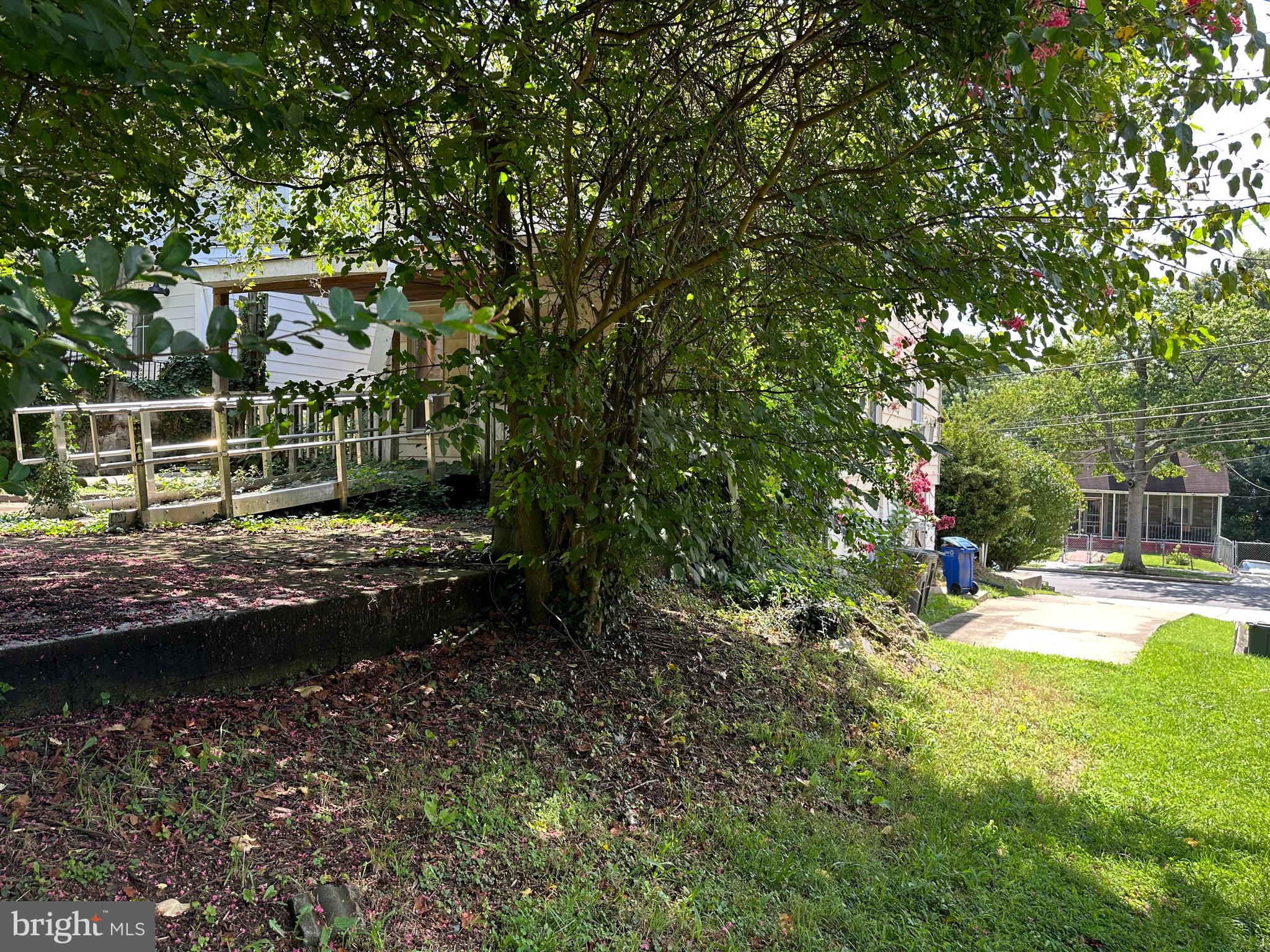 2628 Myrtle Avenue Northeast Washington, DC 20018 - Photo 7 of 11 a view of yard with swimming pool and trees in the background