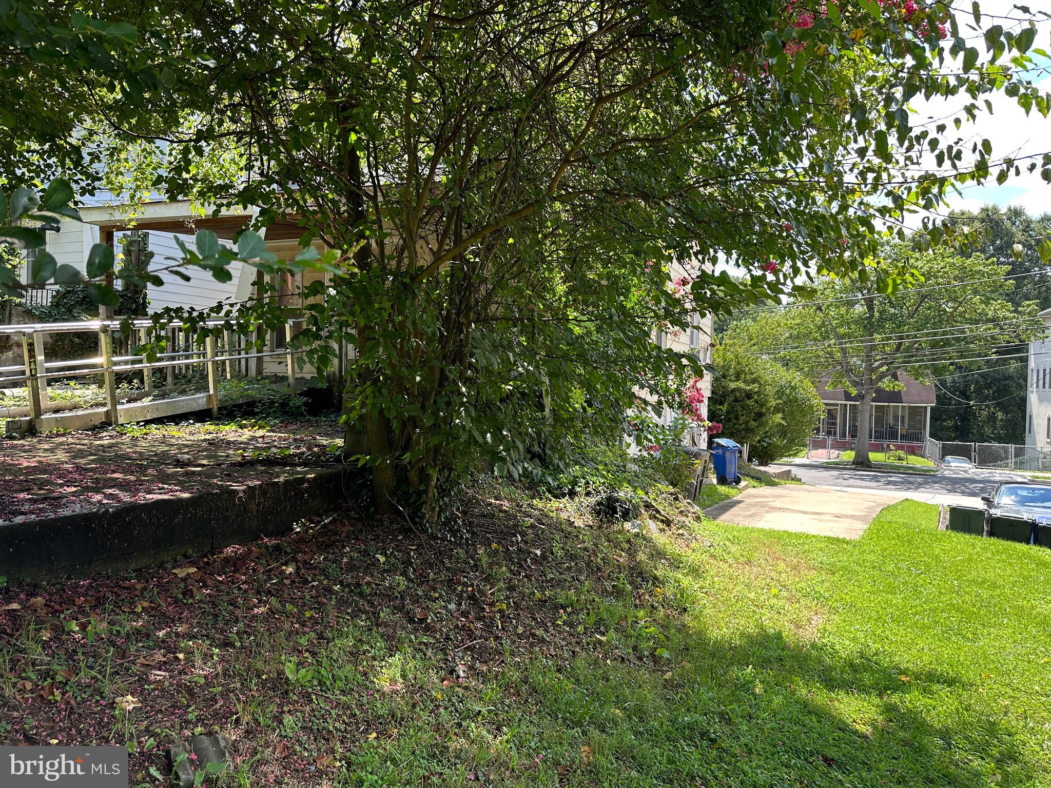 2628 Myrtle Avenue Northeast Washington, DC 20018 - Photo 8 of 11 a view of a backyard with large trees