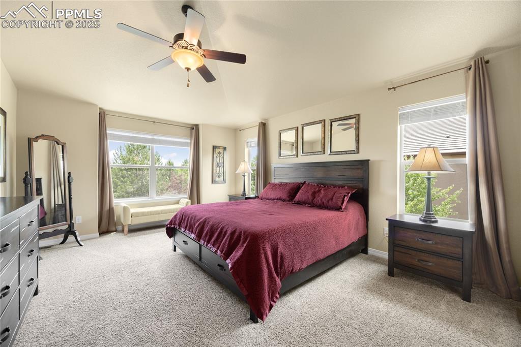 1131 Old North Gate Road Colorado Springs, CO 80921 - Photo 17 of 39 Primary Bedroom with light carpet and a ceiling fan
