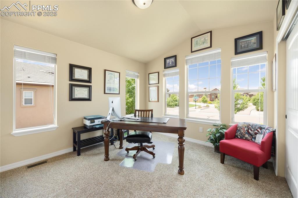 1131 Old North Gate Road Colorado Springs, CO 80921 - Photo 22 of 39 Bedroom or Office space with lofted ceiling and carpet floors