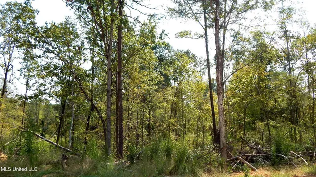 $395,000 | 2380 213th Road, Unit COUNTRY, Grenada, MS 38901