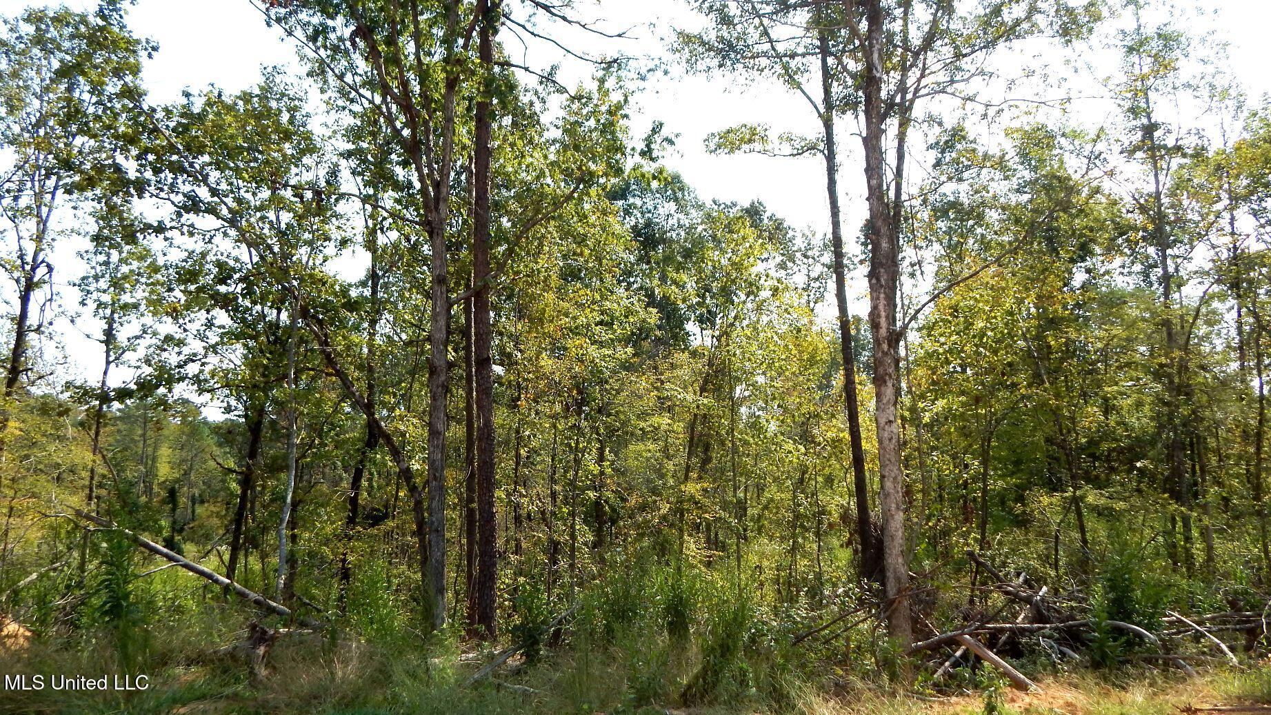 2380 213th Road, Unit COUNTRY Grenada, MS 38901 - Photo 11 of 49 DSCN7276