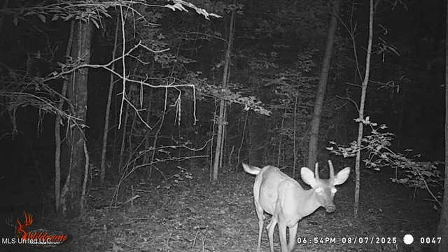 $395,000 | 2380 213th Road, Unit COUNTRY, Grenada, MS 38901