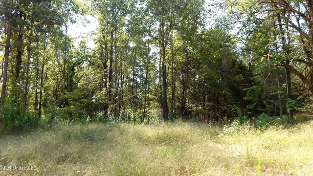 $395,000 | 2380 213th Road, Unit COUNTRY, Grenada, MS 38901