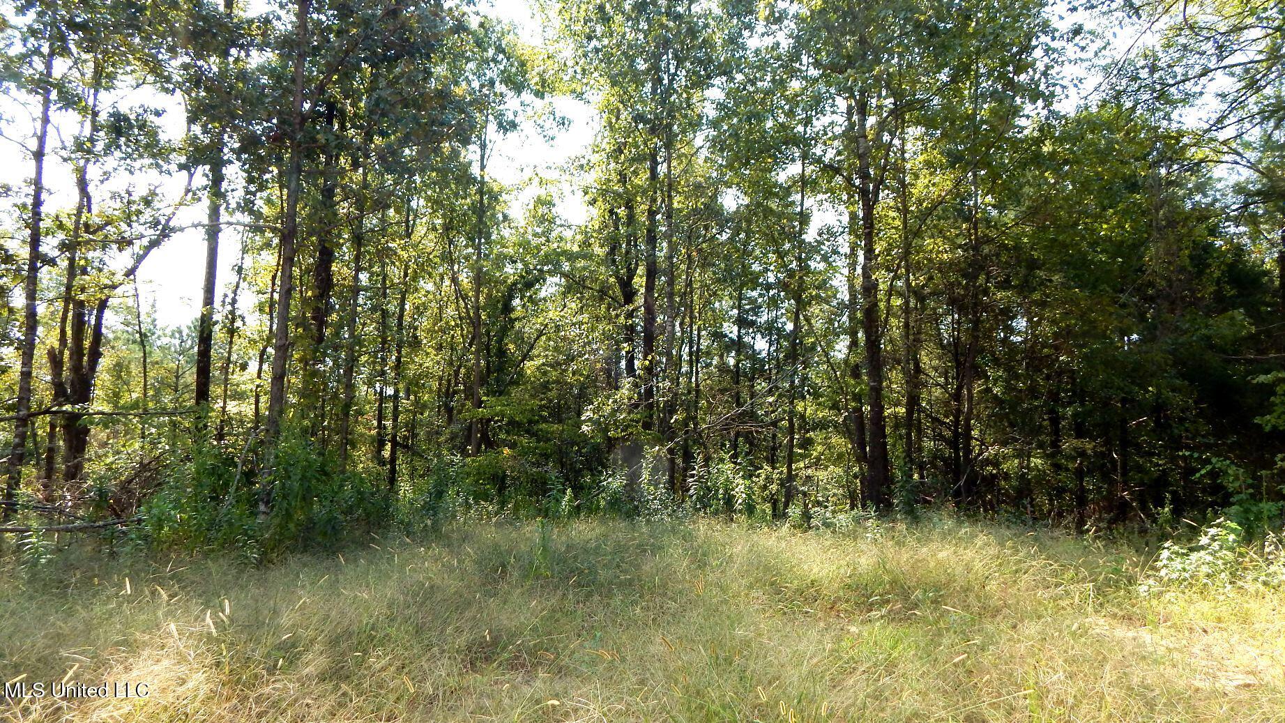 2380 213th Road, Unit COUNTRY Grenada, MS 38901 - Photo 15 of 49 DSCN7279