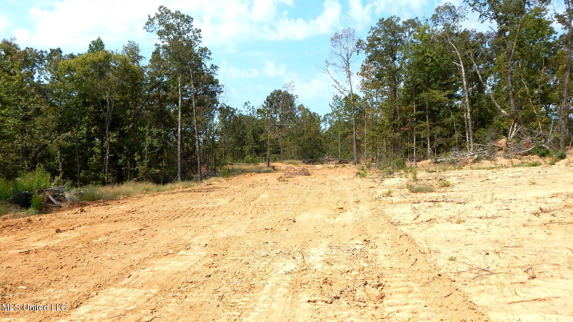 2380 213th Road, Unit COUNTRY Grenada, MS 38901 - Photo 18 of 49 DSCN7280