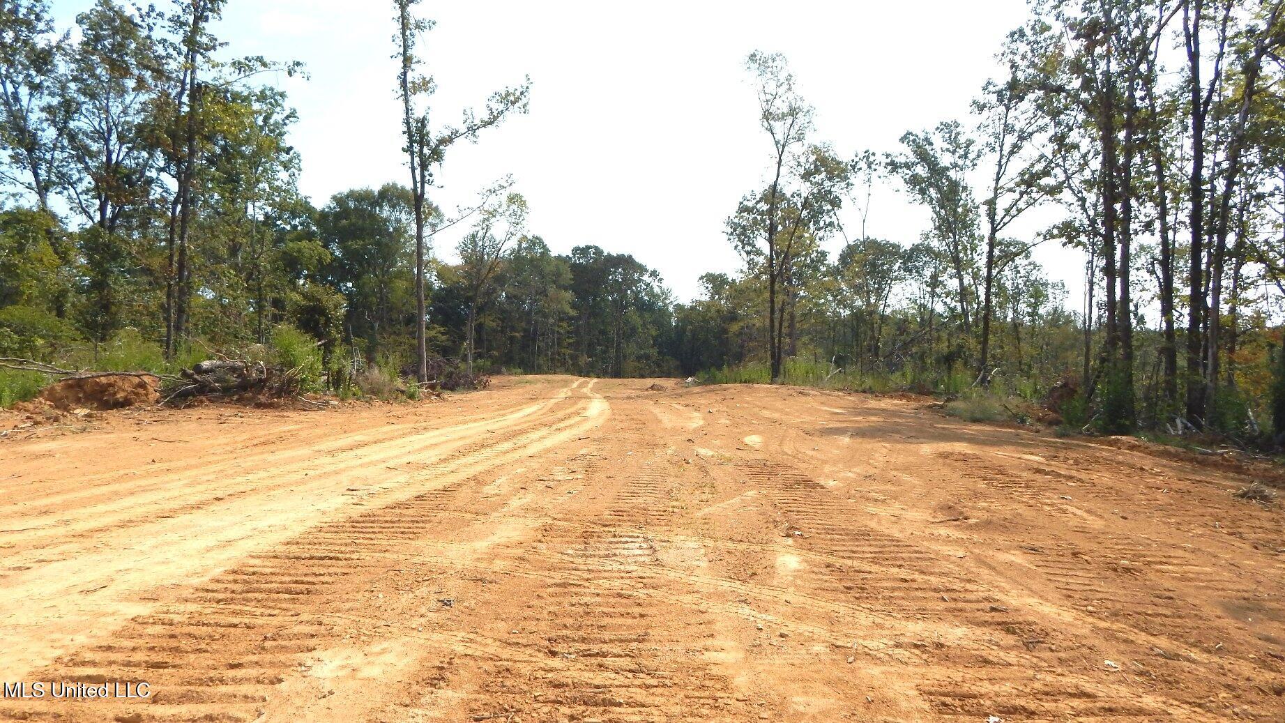 2380 213th Road, Unit COUNTRY Grenada, MS 38901 - Photo 20 of 49 DSCN7282
