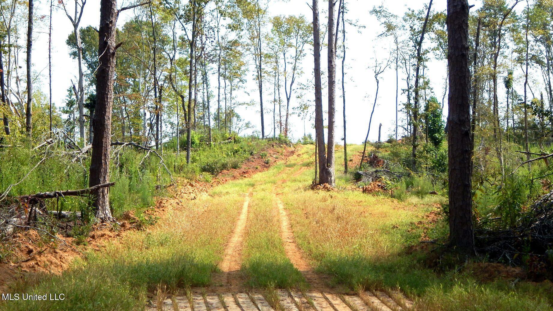 2380 213th Road, Unit COUNTRY Grenada, MS 38901 - Photo 21 of 49 DSCN7283