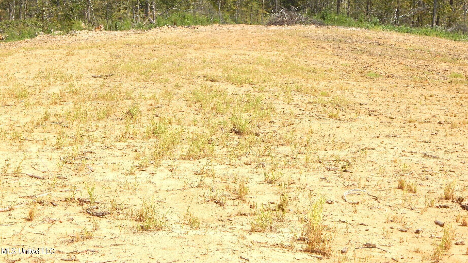 2380 213th Road, Unit COUNTRY Grenada, MS 38901 - Photo 22 of 49 DSCN7284