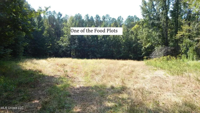 $395,000 | 2380 213th Road, Unit COUNTRY, Grenada, MS 38901