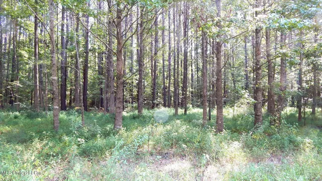 $395,000 | 2380 213th Road, Unit COUNTRY, Grenada, MS 38901