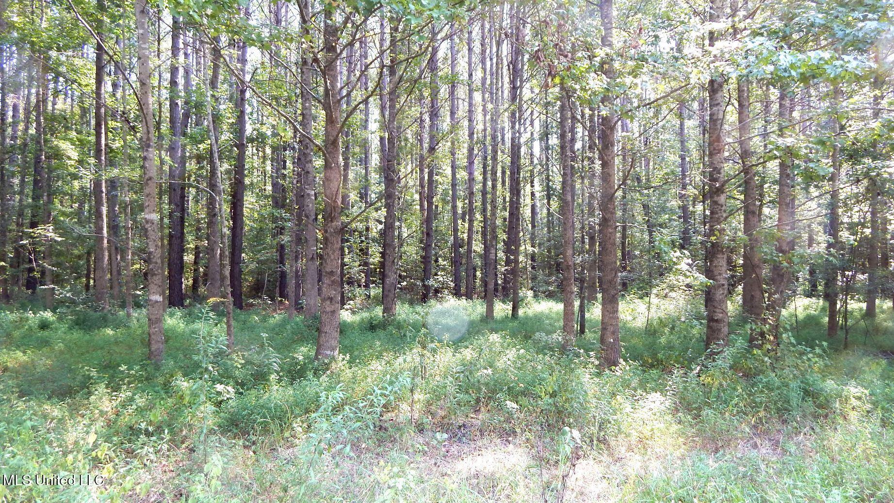 2380 213th Road, Unit COUNTRY Grenada, MS 38901 - Photo 24 of 49 DSCN7287