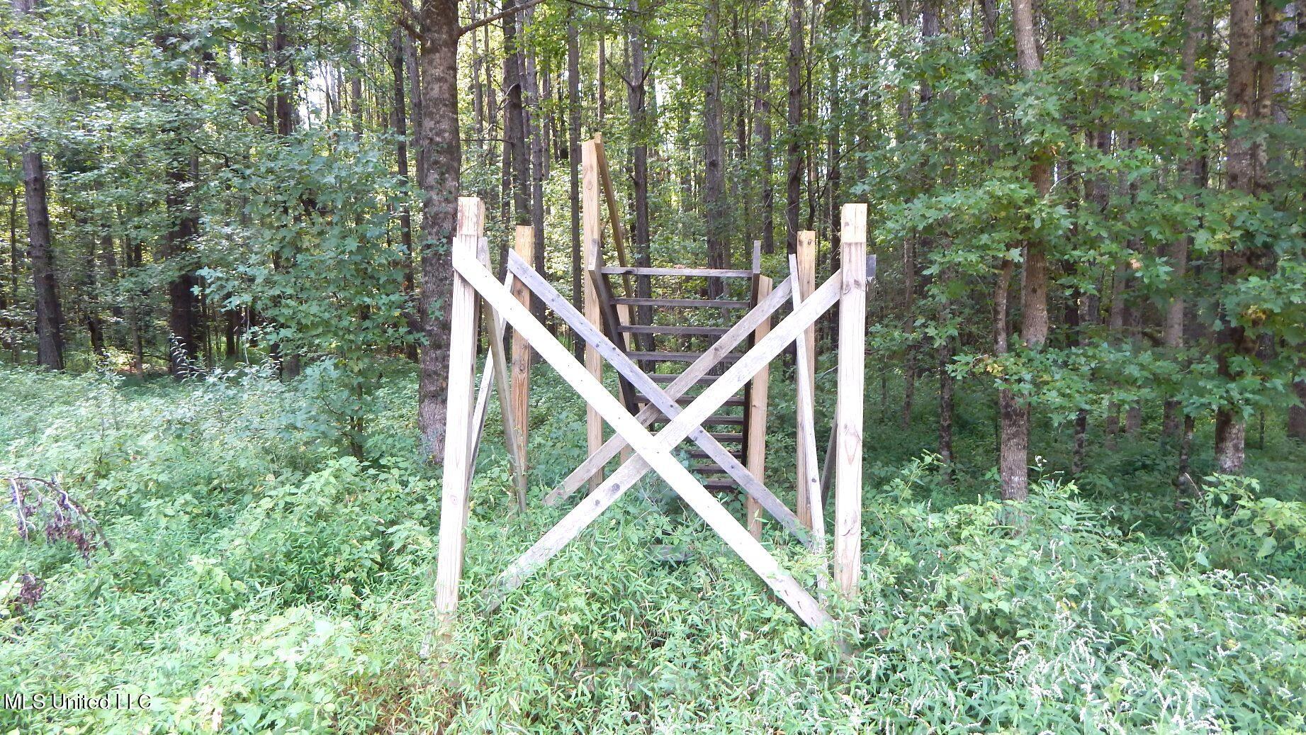 2380 213th Road, Unit COUNTRY Grenada, MS 38901 - Photo 25 of 49 DSCN7289