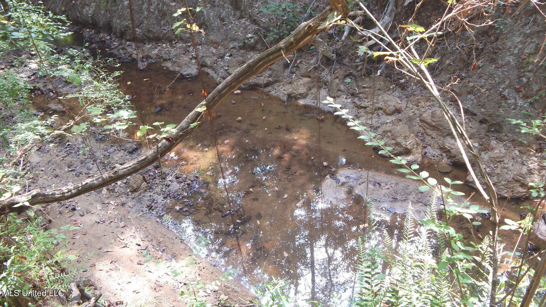 2380 213th Road, Unit COUNTRY Grenada, MS 38901 - Photo 26 of 49 DSCN7290