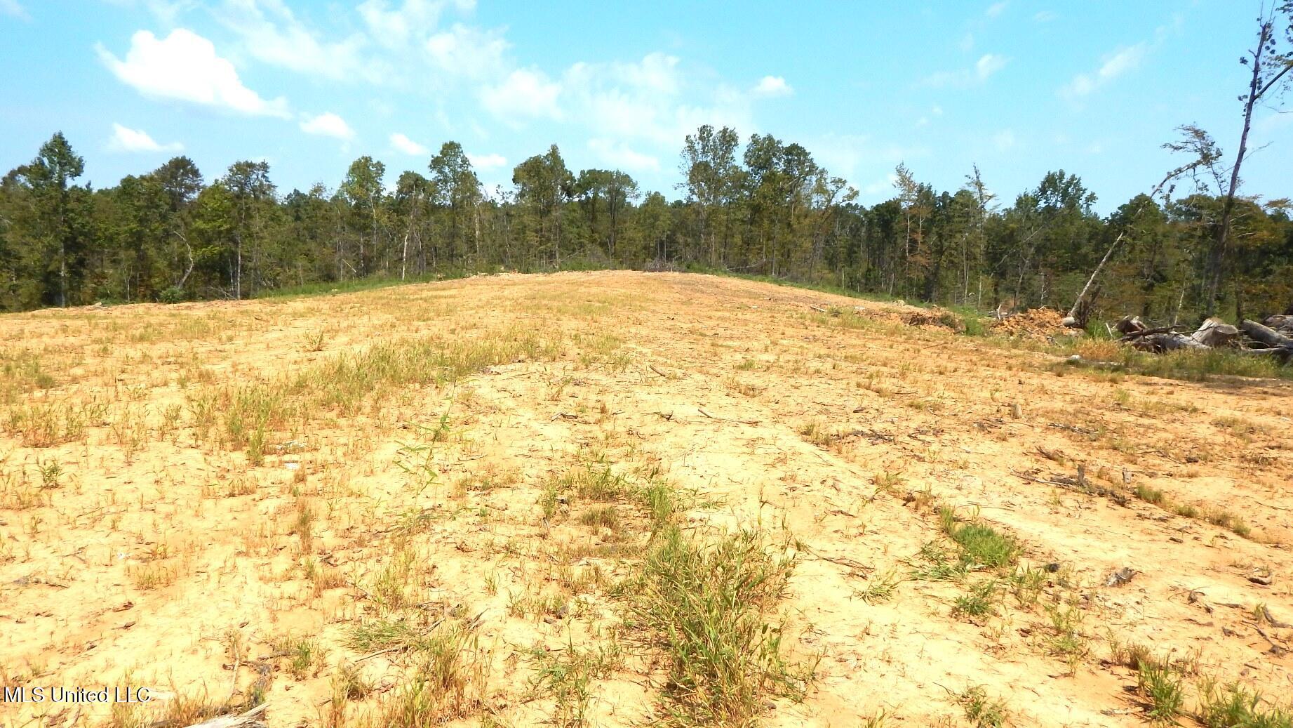 2380 213th Road, Unit COUNTRY Grenada, MS 38901 - Photo 27 of 49 DSCN7291