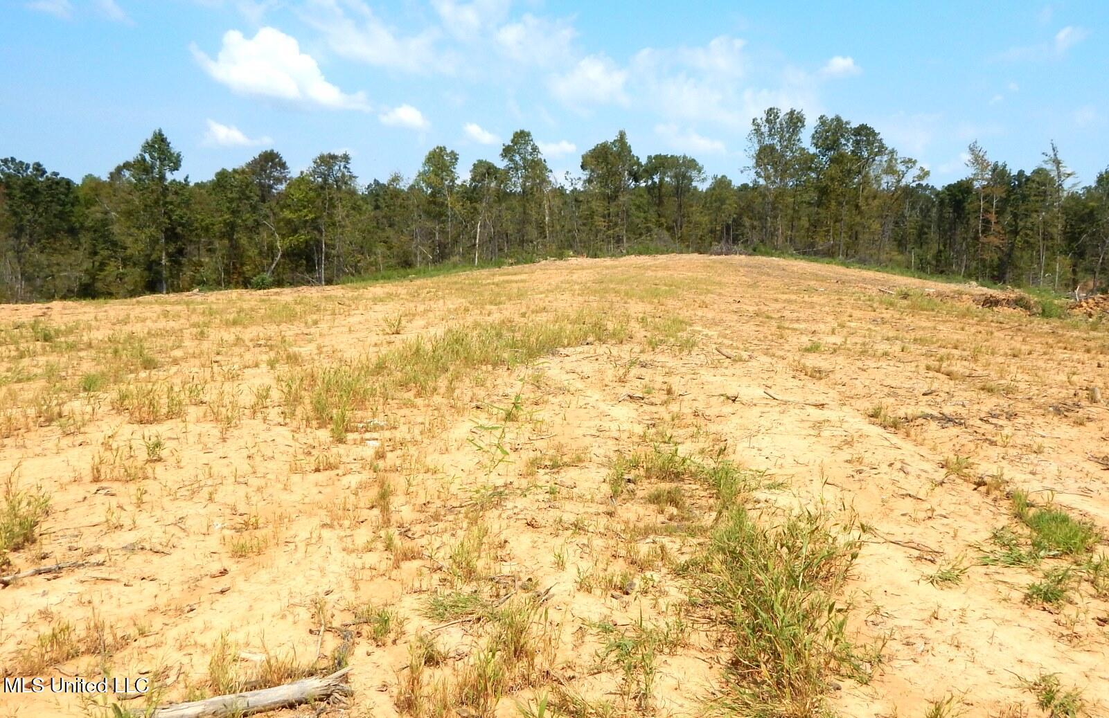 2380 213th Road, Unit COUNTRY Grenada, MS 38901 - Photo 28 of 49 DSCN7292