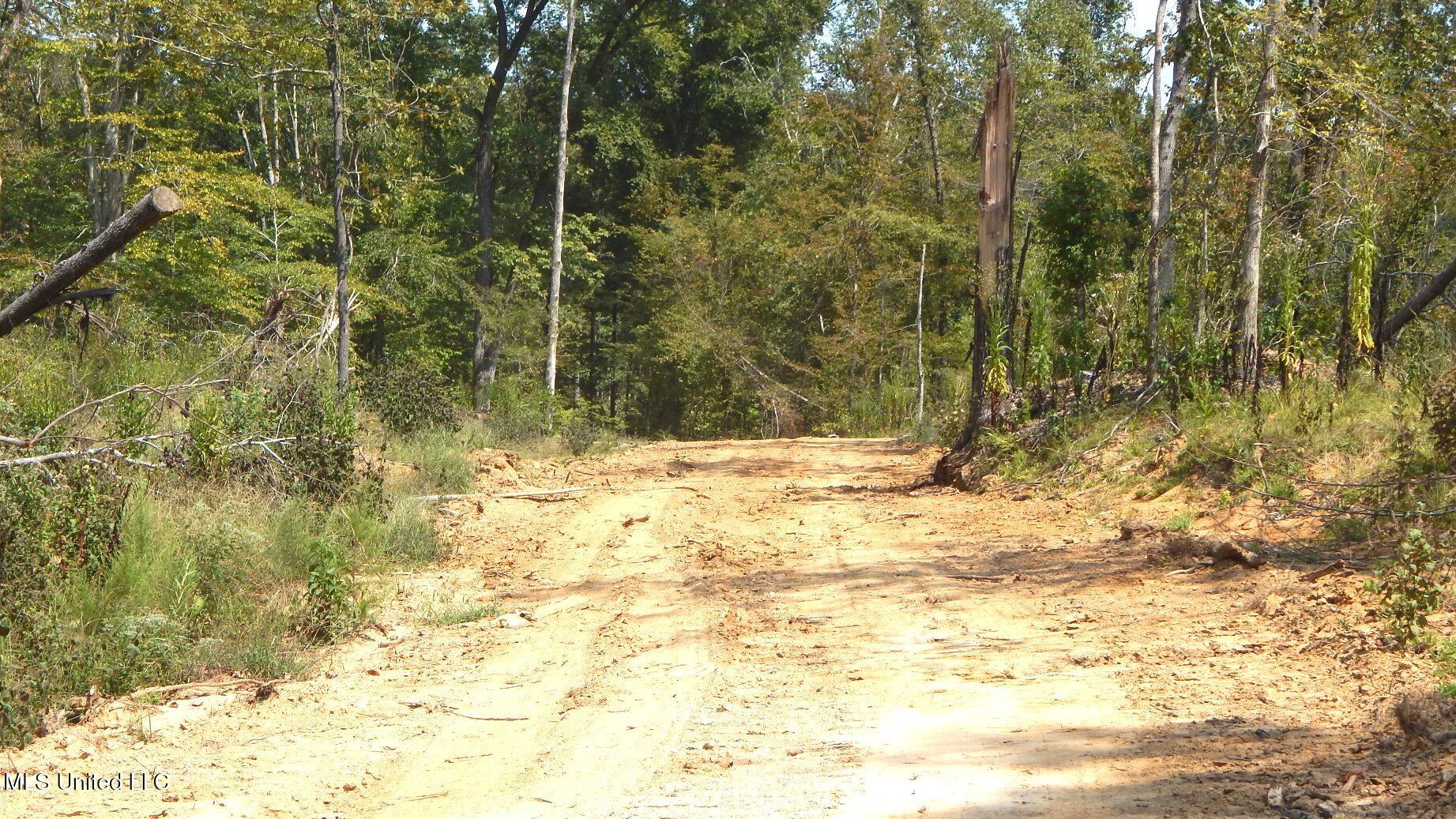 2380 213th Road, Unit COUNTRY Grenada, MS 38901 - Photo 29 of 49 DSCN7293