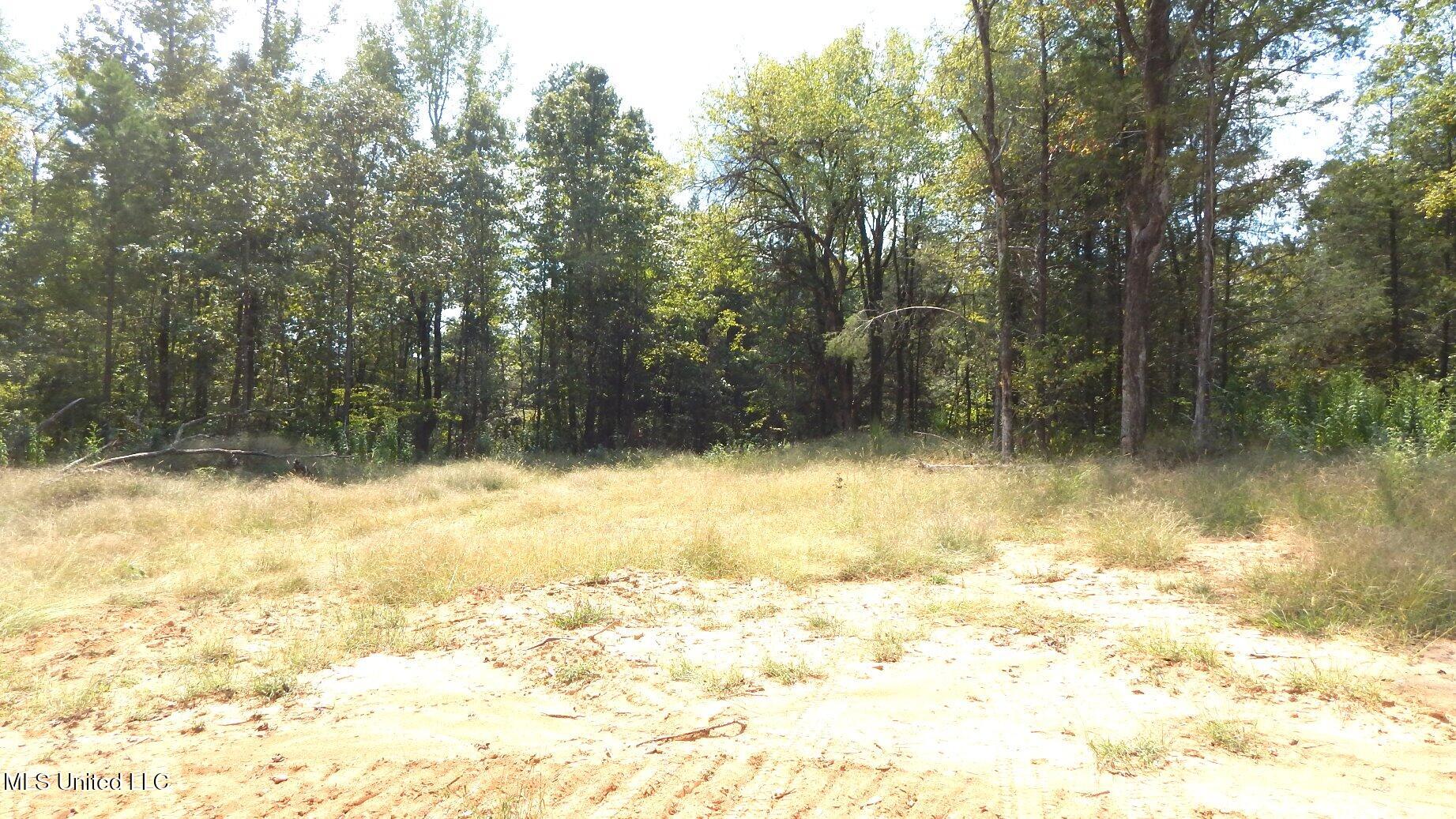 2380 213th Road, Unit COUNTRY Grenada, MS 38901 - Photo 30 of 49 DSCN7295