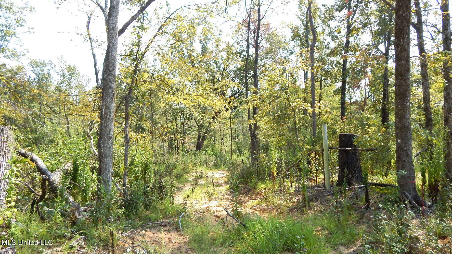 2380 213th Road, Unit COUNTRY Grenada, MS 38901 - Photo 31 of 49 DSCN7296