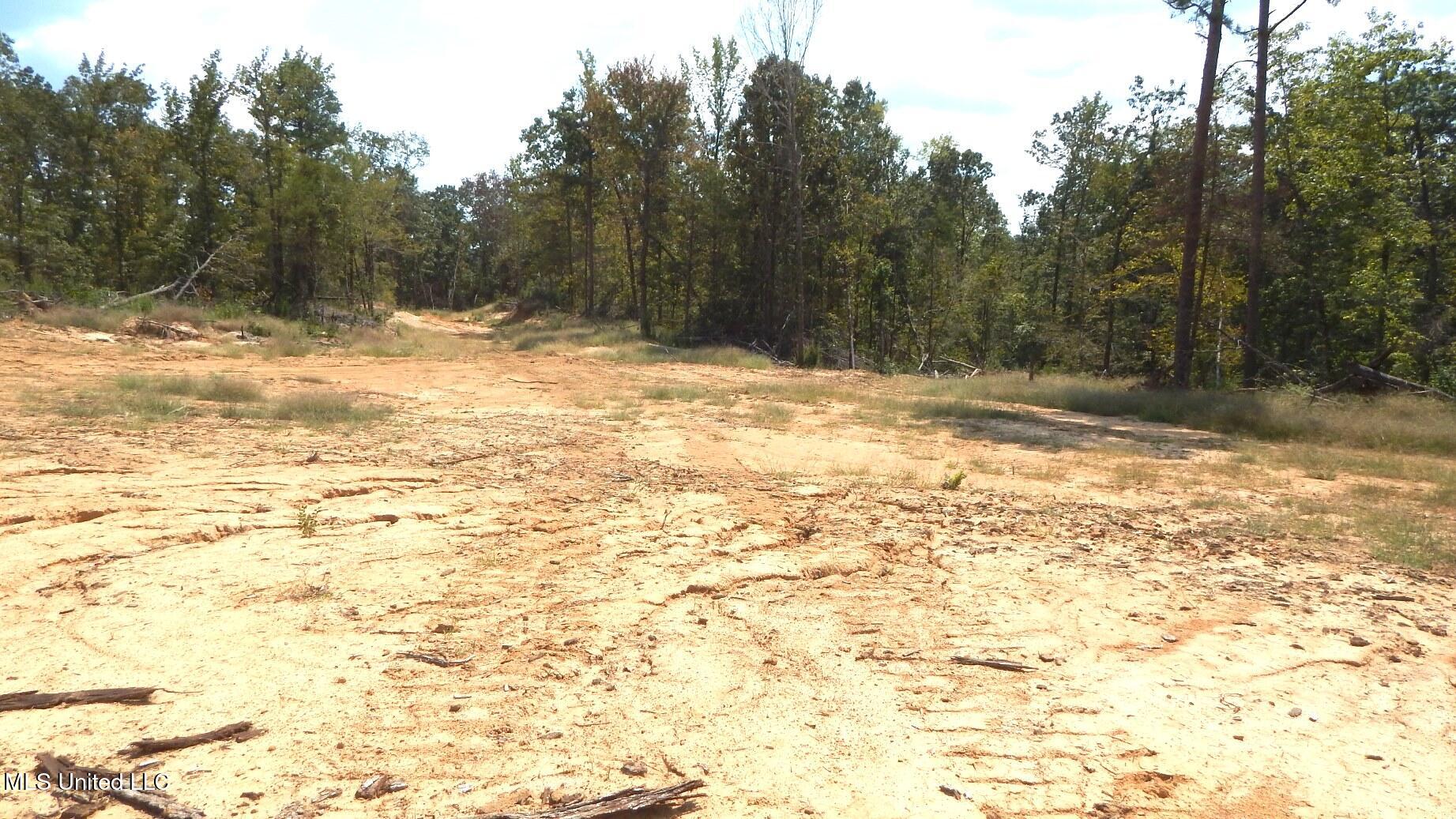 2380 213th Road, Unit COUNTRY Grenada, MS 38901 - Photo 33 of 49 DSCN7298