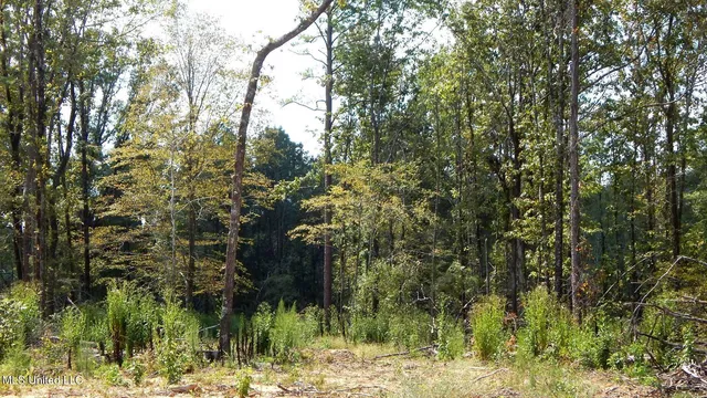 $395,000 | 2380 213th Road, Unit COUNTRY, Grenada, MS 38901