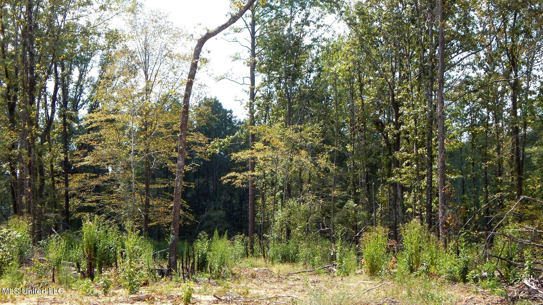 2380 213th Road, Unit COUNTRY Grenada, MS 38901 - Photo 34 of 49 DSCN7299