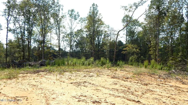 $395,000 | 2380 213th Road, Unit COUNTRY, Grenada, MS 38901