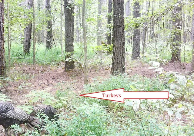 $395,000 | 2380 213th Road, Unit COUNTRY, Grenada, MS 38901