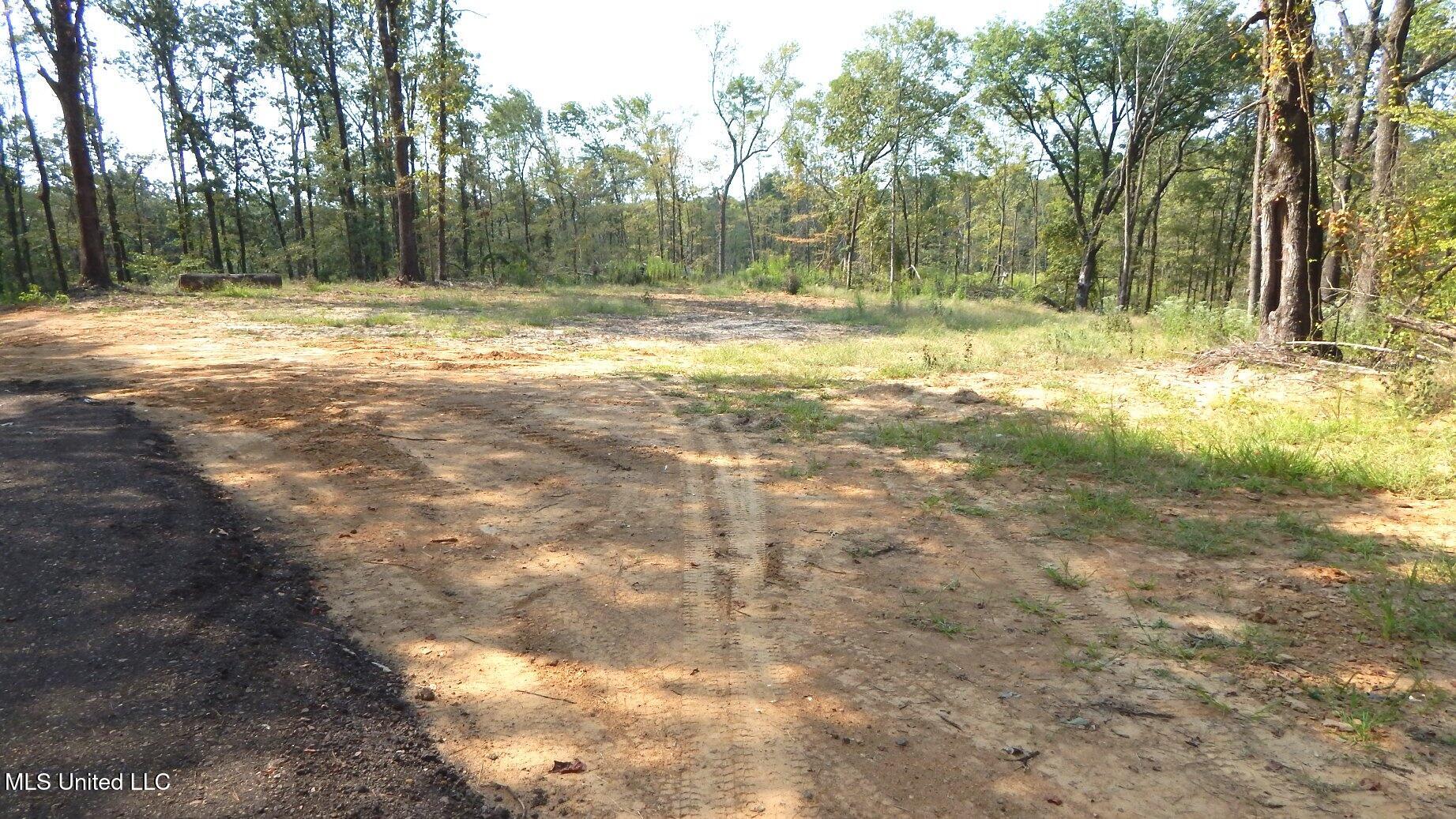 2380 213th Road, Unit COUNTRY Grenada, MS 38901 - Photo 4 of 49 DSCN7267