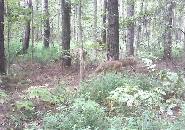 $395,000 | 2380 213th Road, Unit COUNTRY, Grenada, MS 38901