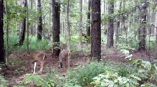 $395,000 | 2380 213th Road, Unit COUNTRY, Grenada, MS 38901