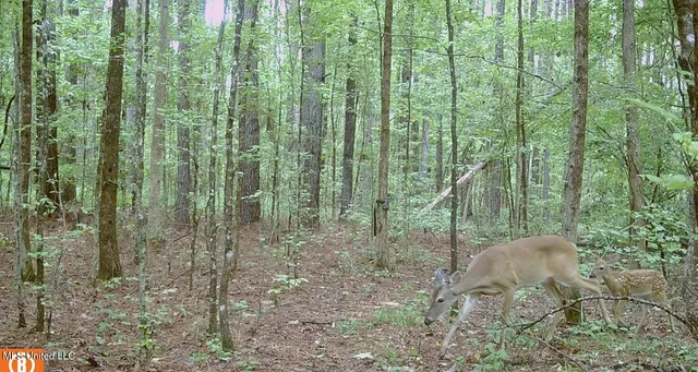 $395,000 | 2380 213th Road, Unit COUNTRY, Grenada, MS 38901