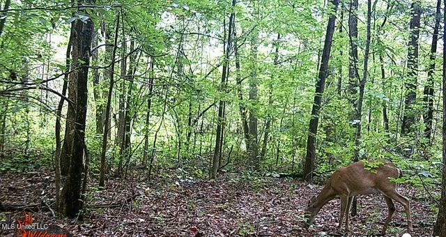 $395,000 | 2380 213th Road, Unit COUNTRY, Grenada, MS 38901